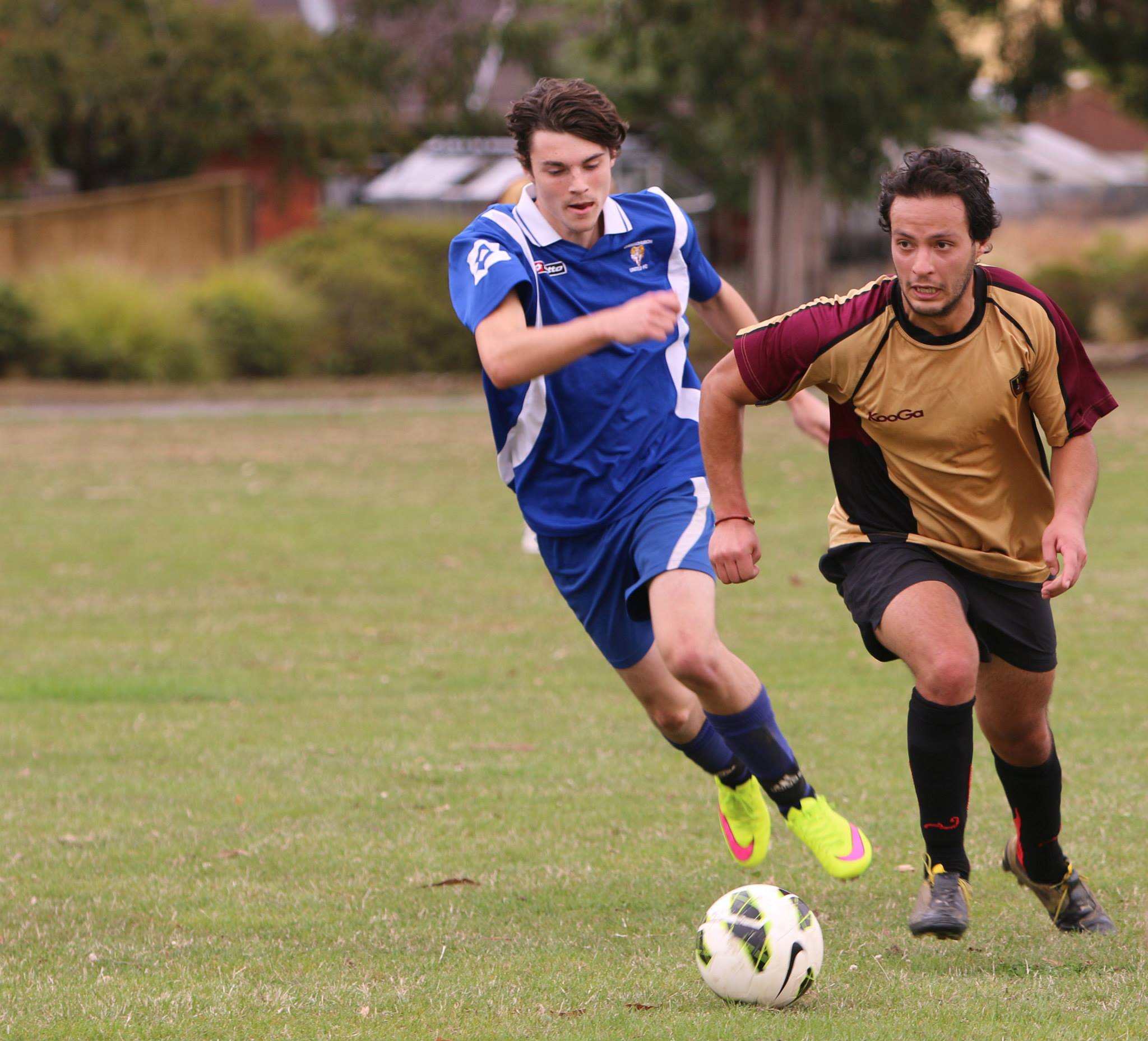 Christchurch United FC » Senior Football